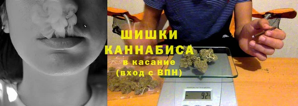 индика Данков