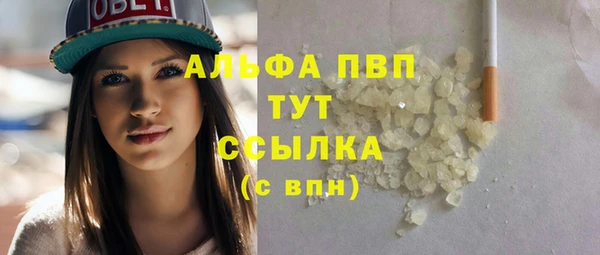 индика Данков