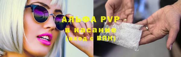 PSILOCYBIN Приозерск