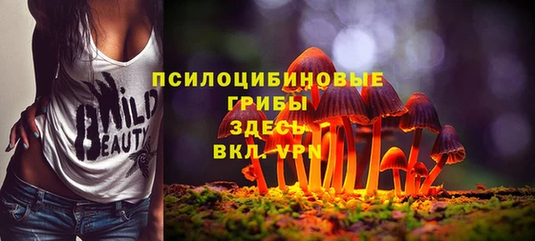 стафф Дедовск