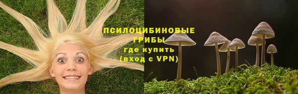 PSILOCYBIN Приозерск