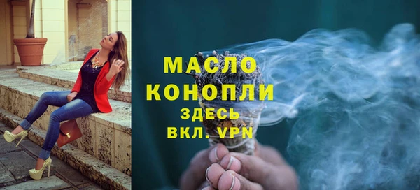 индика Данков