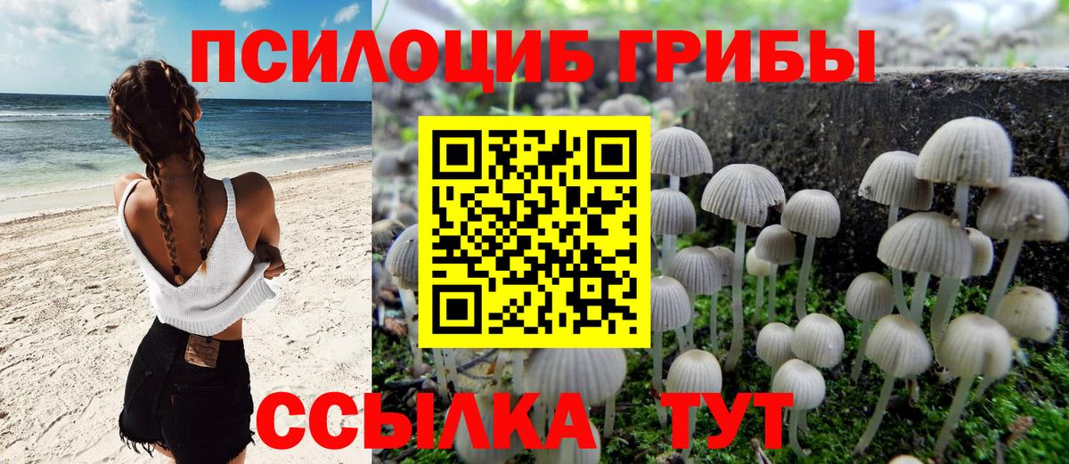 Галлюциногенные грибы GOLDEN TEACHER  Вход с VPN  Саратов 